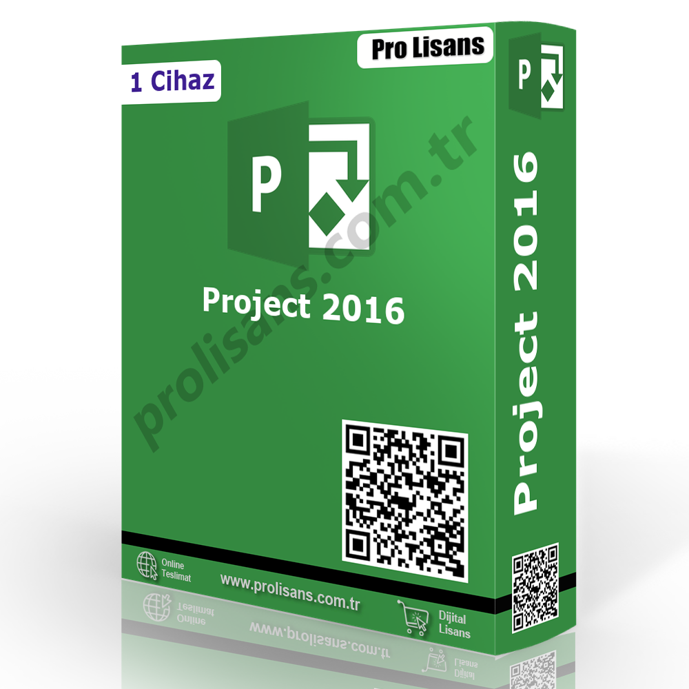 Project 2016