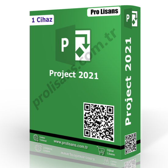 Project Professional Lisans